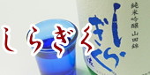 【志ら菊（しらぎく）・仙頭】地酒販売/日本酒,焼酎通販/土佐の地酒専門店